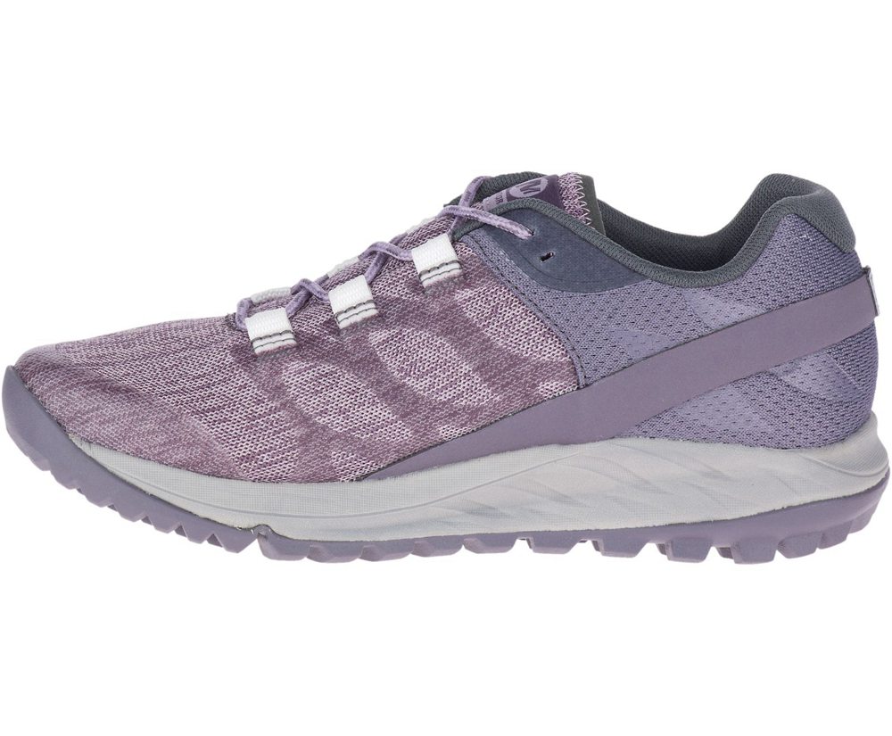 Merrell Sneakers Purple - Antora - Womens 86HRJPWMQ
